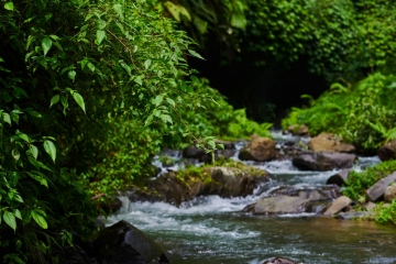 Raw Water Treatment