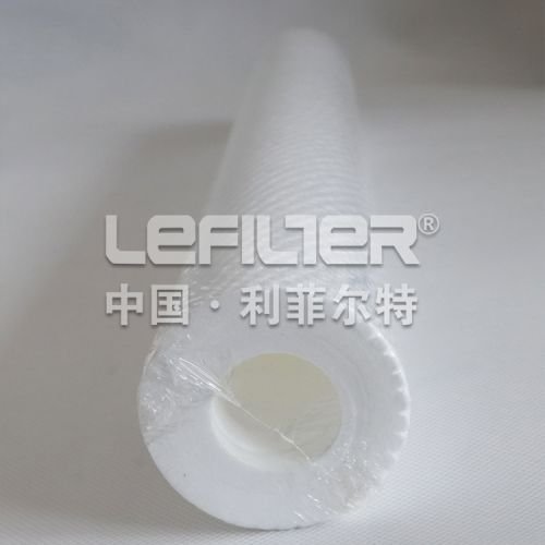 Application Prospect Of PP Cotton Filter Element In The Food Industry 1