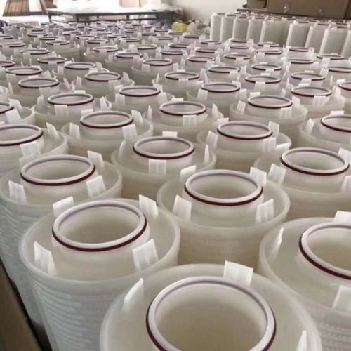 MaxGuard MXCG02030ESM Large Diameter Filter Replacement 2