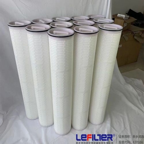 MaxGuard MXCG02030ESM Large Diameter Filter Replacement