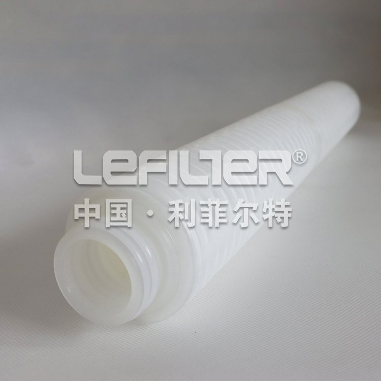 PTFE Pleated Filters