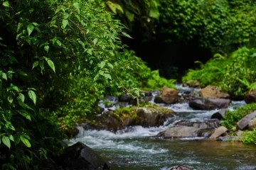 Raw Water Treatment