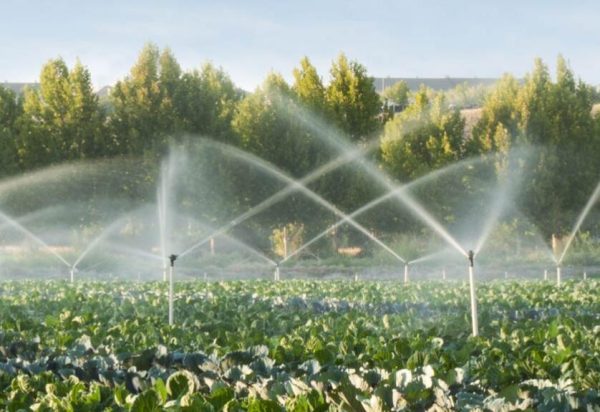 Sand Filter For Drip Irrigation Screen Mesh Water Filter System